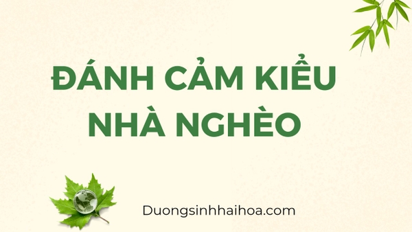 ĐÁNH CẢM KIỂU NHÀ NGHÈO