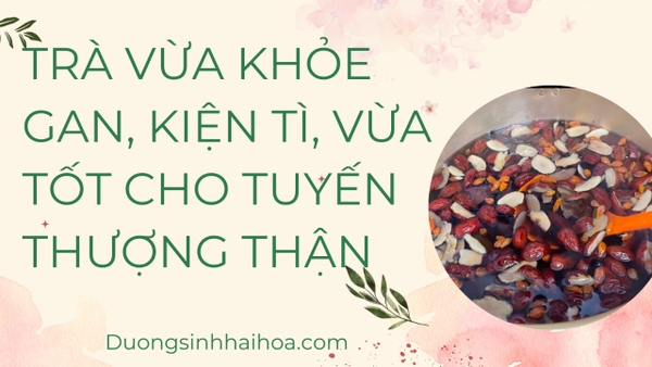 TRÀ VỪA KHOẺ GAN, VỪA KIỆN TÌ, VỪA TỐT CHO TUYẾN THƯỢNG THẬN