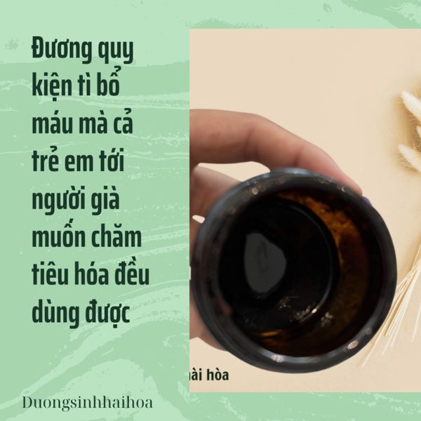 BÀI ĐƯƠNG QUY KIỆN TÌ BỔ MÁU MÀ CẢ TRẺ EM TỚI NGƯỜI GIÀ MUỐN CHĂM TIÊU HOÁ ĐỀU DÙNG ĐƯỢC