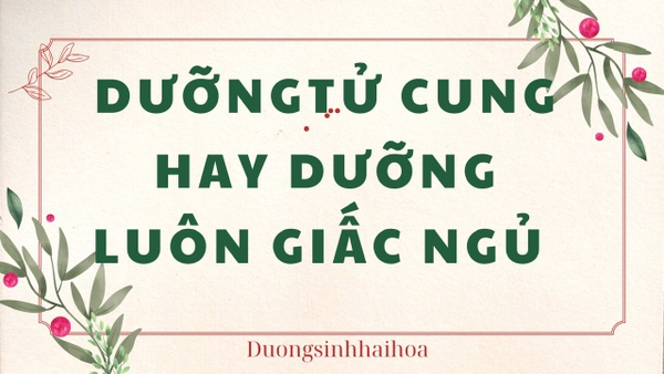 DƯỠNG TỬ CUNG HAY DƯỠNG LUÔN GIẤC NGỦ