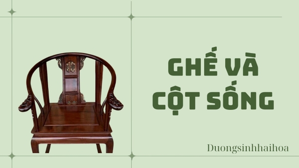 GHẾ VÀ CỘT SỐNG