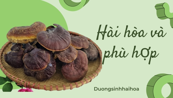HÀI HOÀ VÀ PHÙ HỢP