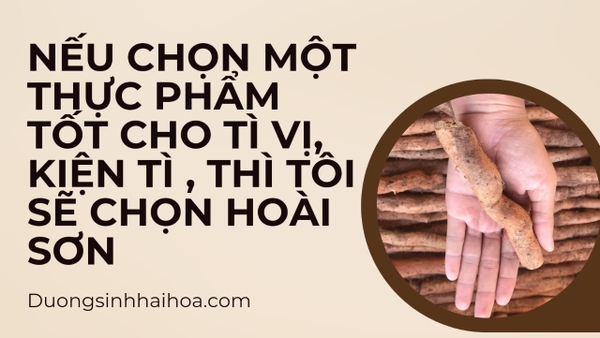 NẾU CHỌN MỘT THỰC PHẨM TỐT CHO TÌ VỊ, KIỆN TÌ, THÌ TÔI SẼ CHỌN HOÀI SƠN