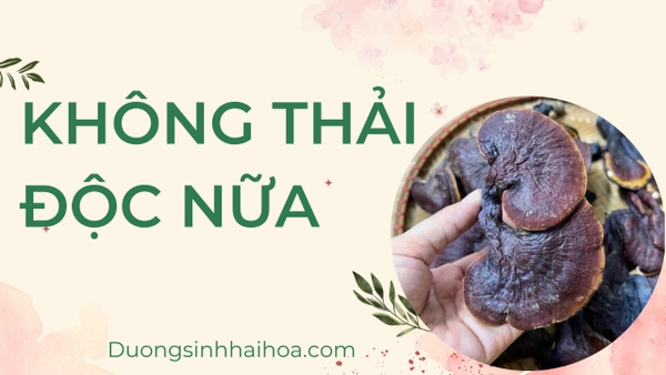 KHÔNG THẢI ĐỘC NỮA