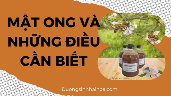 MẬT ONG VÀ NHỮNG ĐIỀU CẦN BIẾT!