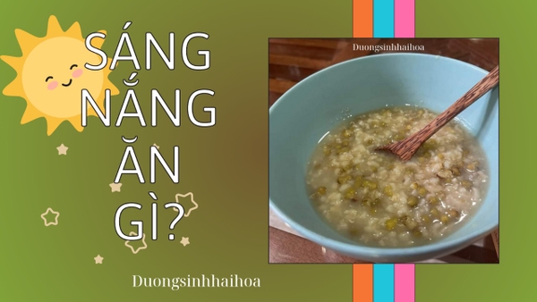 SÁNG NẮNG ĂN GÌ?