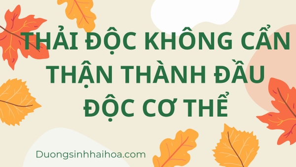 THẢI ĐỘC KHÔNG CẨN THẬN THÀNH ĐẦU ĐỘC CƠ THỂ