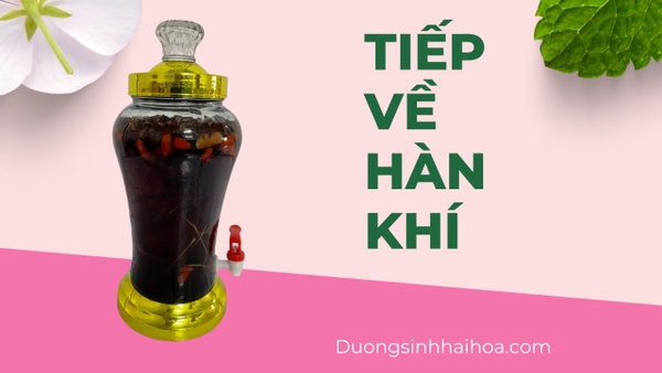 HÀN KHÍ ( LẠI NÓI TIẾP VỀ HÀN KHÍ )