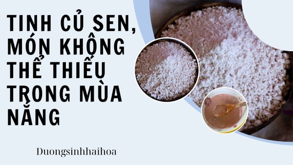 TINH CỦ SEN, MÓN KHÔNG THỂ THIẾU TRONG MÙA NẮNG