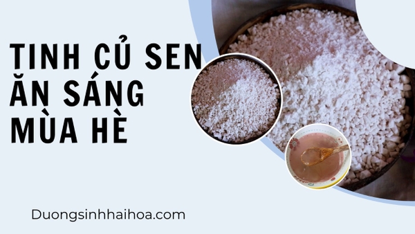 TINH CỦ SEN ĂN SÁNG MÙA HÈ