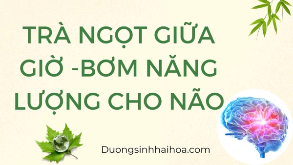 TRÀ NGỌT GIỮA GIỜ - BƠM NĂNG LƯỢNG CHO NÃO