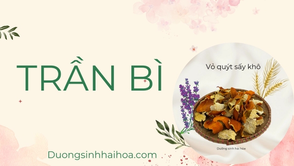 TRẦN BÌ