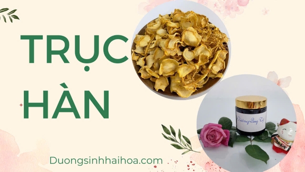 TRỤC HÀN