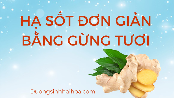 HẠ SỐT ĐƠN GIẢN BẰNG GỪNG TƯƠI