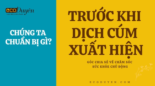 CHUẨN BỊ GÌ TRƯỚC KHI DỊCH CÚM XUẤT HIỆN TRỞ LẠI?
