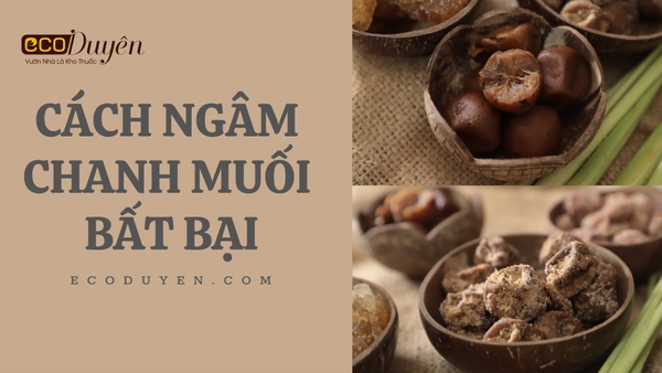 CÁCH LÀM CHANH MUỐI BẤT BẠI