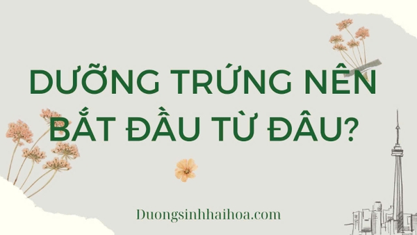 DƯỠNG TRỨNG NÊN BẮT ĐẦU TỪ ĐÂU?