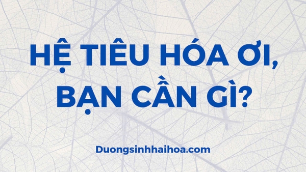 HỆ TIÊU HÓA ƠI, BẠN CẦN GÌ?