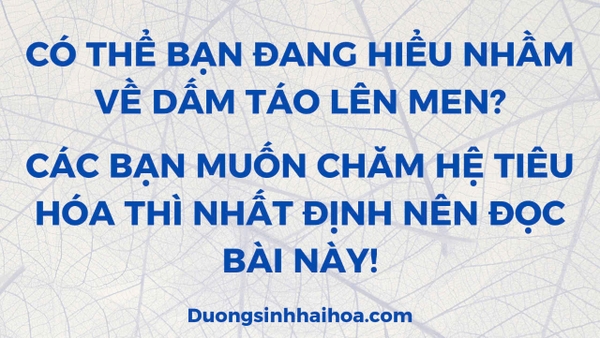 CÓ THỂ BẠN ĐANG HIỂU NHẦM VỀ DẤM TÁO LÊN MEN ? CÁC BẠN MUỐN CHĂM HỆ TIÊU HÓA THÌ NHẤT ĐỊNH NÊN ĐỌC BÀI NÀY.