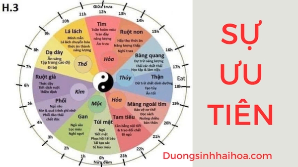 SỰ ƯU TIÊN