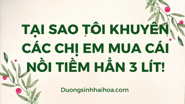 TẠI SAO TÔI KHUYÊN CÁC CHỊ EM MUA CÁI NỒI TIỀM HẲN 3 LÍT