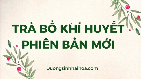 TRÀ BỔ KHÍ HUYẾT PHIÊN BẢN MỚI
