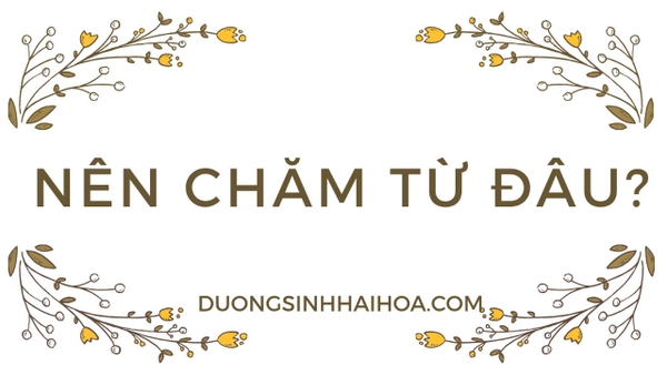 NÊN CHĂM TỪ ĐÂU?