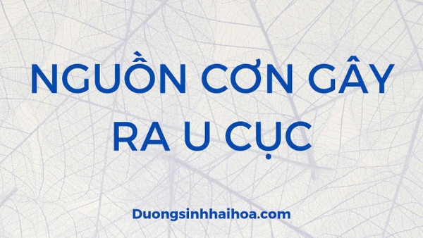 NGUỒN CƠN GÂY RA U CỤC