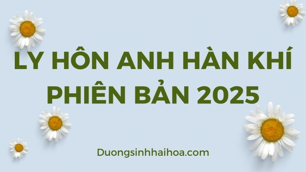 LY HÔN ANH HÀN KHÍ PHIÊN BẢN 2025