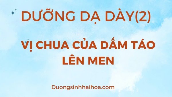 DƯỠNG DẠ DÀY (2): VỊ CHUA CỦA DẤM TÁO LÊN MEN
