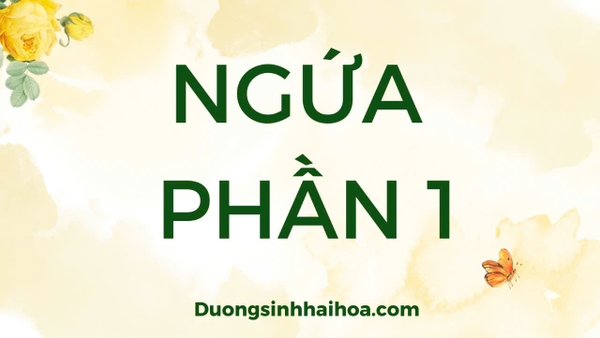 NGỨA - BÀI SỐ 1