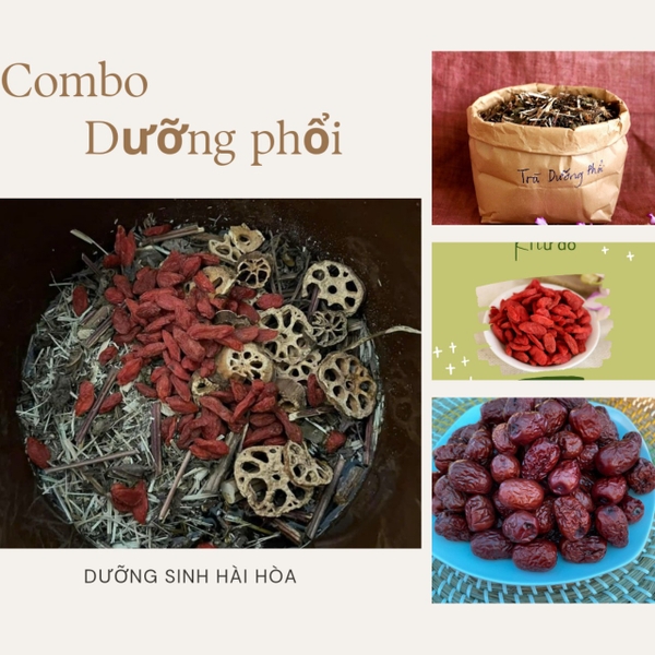 COMBO TRÀ NGŨ HÀNH DƯỠNG PHỔI