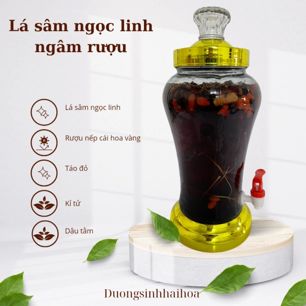 RƯỢU NGÂM LÁ SÂM NGỌC LINH