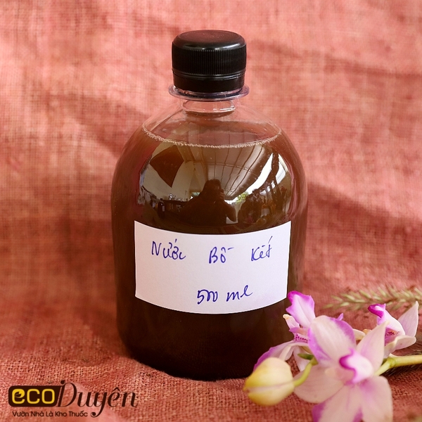 NƯỚC GỘI ĐẦU ECODUYEN 500ML