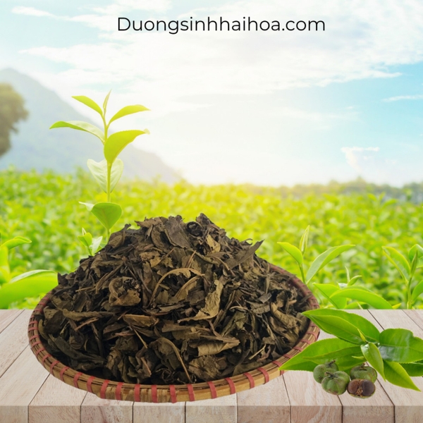 TRÀ BAN CHA 100G
