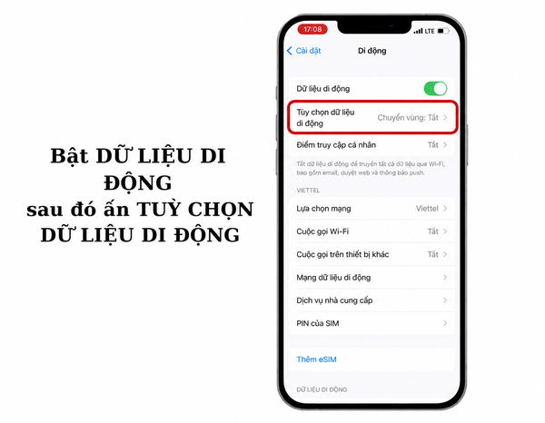 Hướng Dẫn Bật Chuyển Vùng Dữ Liệu (Data Roaming)  3