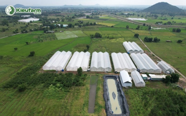 Chọn địa điểm là yếu tố quan trọng khi thi công nhà màng dưa lưới.