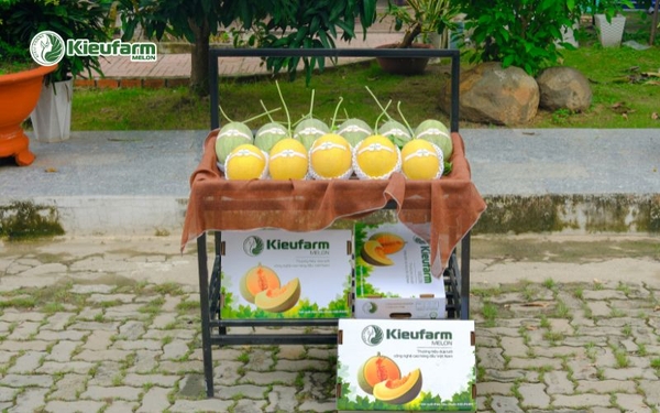 Co hoi kinh doanh moi tu dua luoi Kieufarm