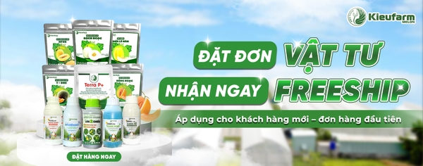 Miễn phí cước vận chuyển khách hàng mới