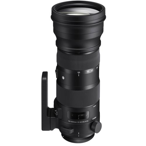 Sigma 150-600mm f/5-6.3 DG OS HSM For Ca/Ni - Chính hãng