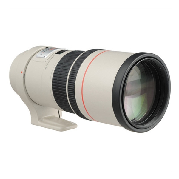Canon EF 300mm f/4.0 L IS USM - Chính hãng LBM
