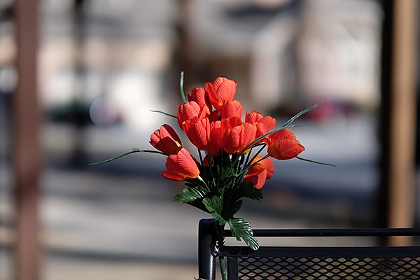 FUJIFILM XF 56MM F/1.2 R - Chính hãng