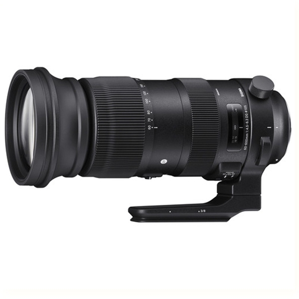 Sigma 60-600mm f/4.5-6.3 DG OS HSM Sports for Ni/Ca - Chính Hãng