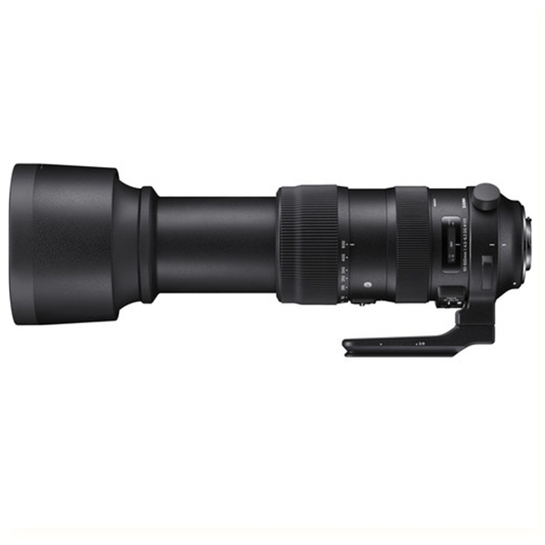 Sigma 60-600mm f/4.5-6.3 DG OS HSM Sports for Ni/Ca - Chính Hãng