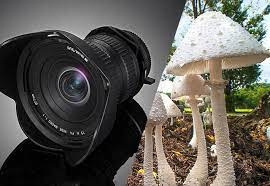 Laowa 15mm f/4 Wide Angle Macro - Chính hãng