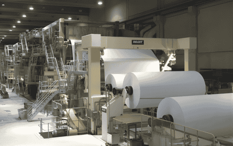 Pulp & Paper