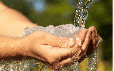Water & Waste