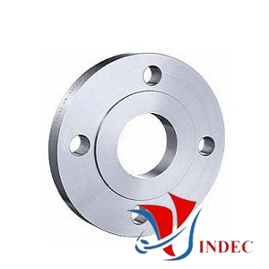 ANSI Plate RF Flange