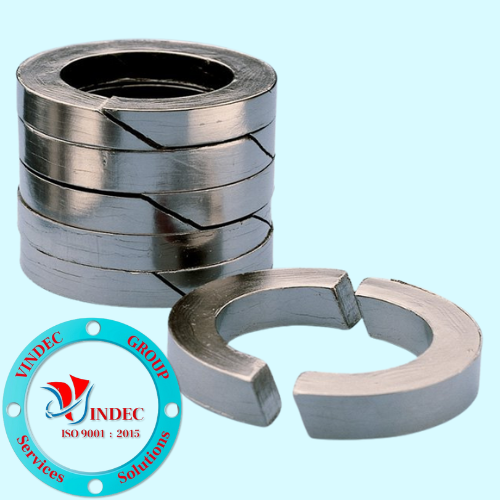 Die Formed Graphite Ring