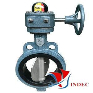 CI Gear Butterfly Valve 10K/PN16-JOEUN